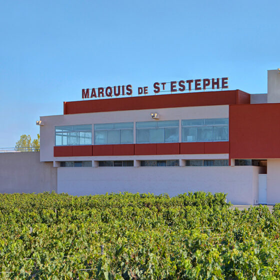 Le Marquis de St Estephe